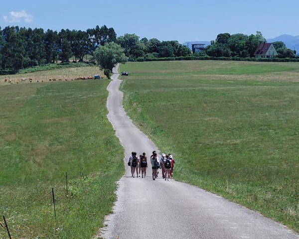 Summer Camp 2026