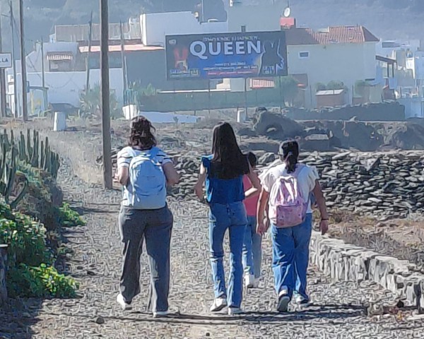 Actividades Noviembre
