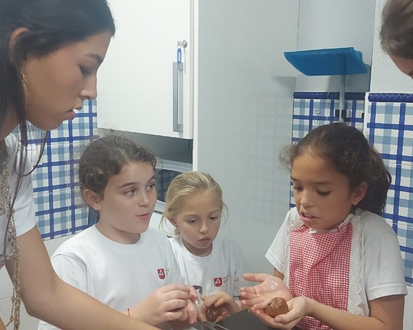 Actividades Noviembre