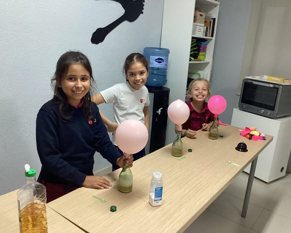 Actividades Noviembre