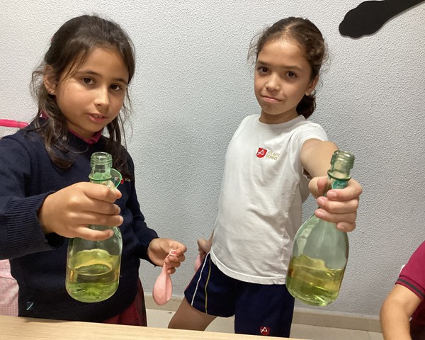 Actividades Noviembre