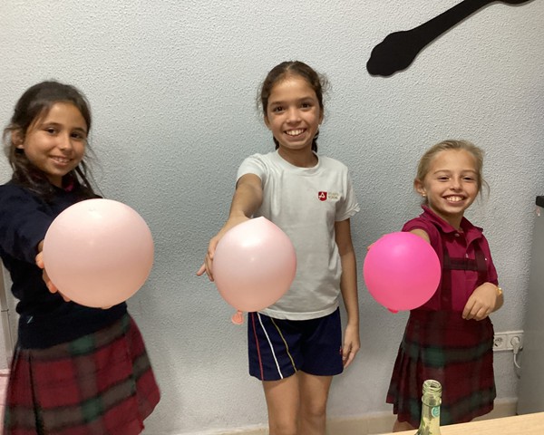 Actividades Noviembre
